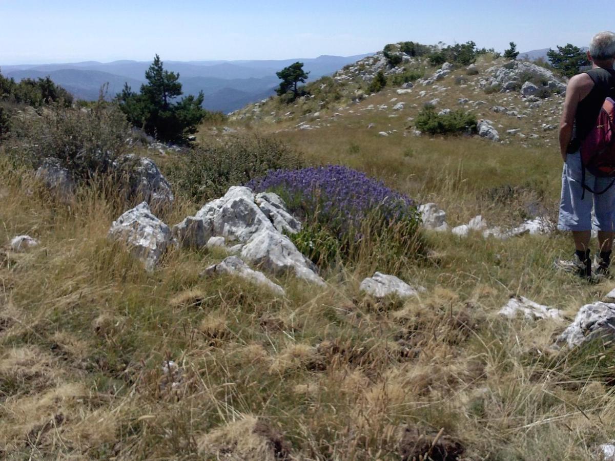 Gite La Foux De Peyroules Eksteriør billede